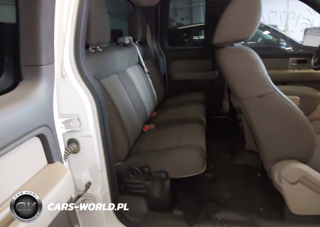 2010 Ford F-150 Stx VIN:1FTEX1E85AKB70009 - 8