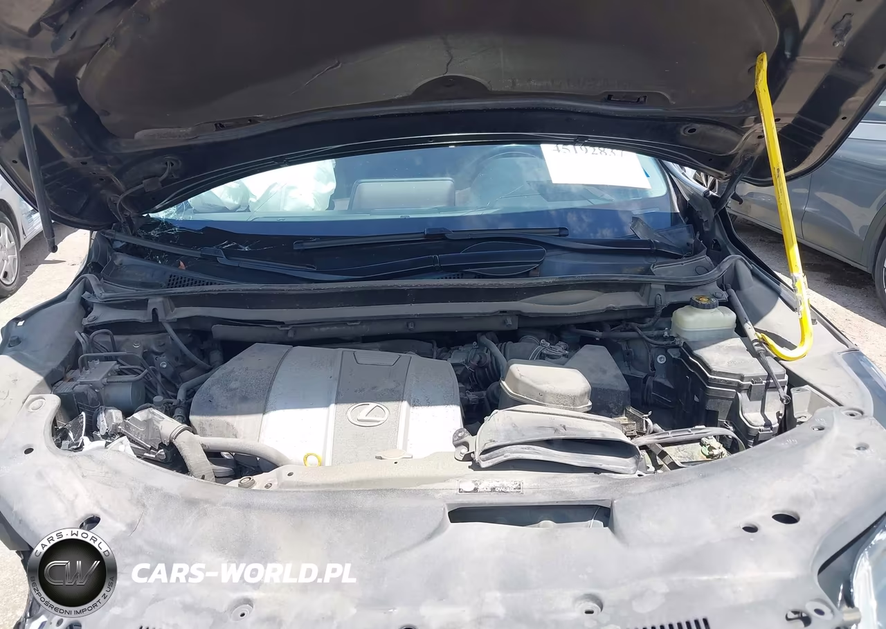 2017 Lexus Rx 350 VIN:2T2BZMCA2HC059395 - 10