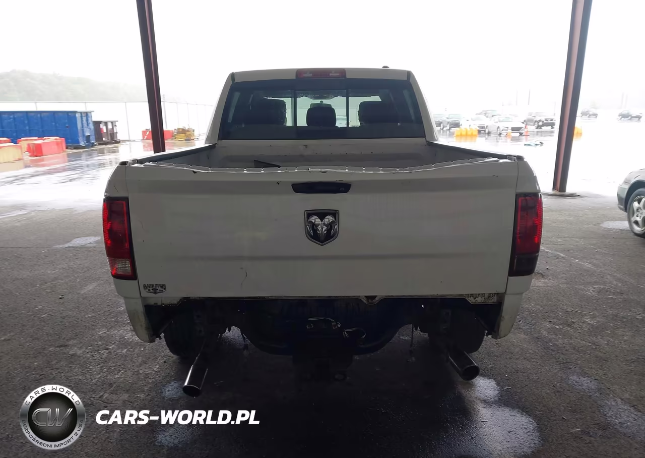 2010 Dodge Ram 1500 Slt-Sport-Trx VIN:1D7RV1CP8AS239072 - 17