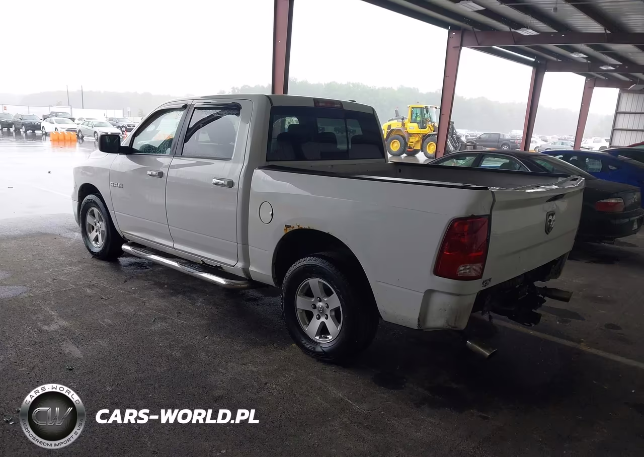 2010 Dodge Ram 1500 Slt-Sport-Trx VIN:1D7RV1CP8AS239072 - 3