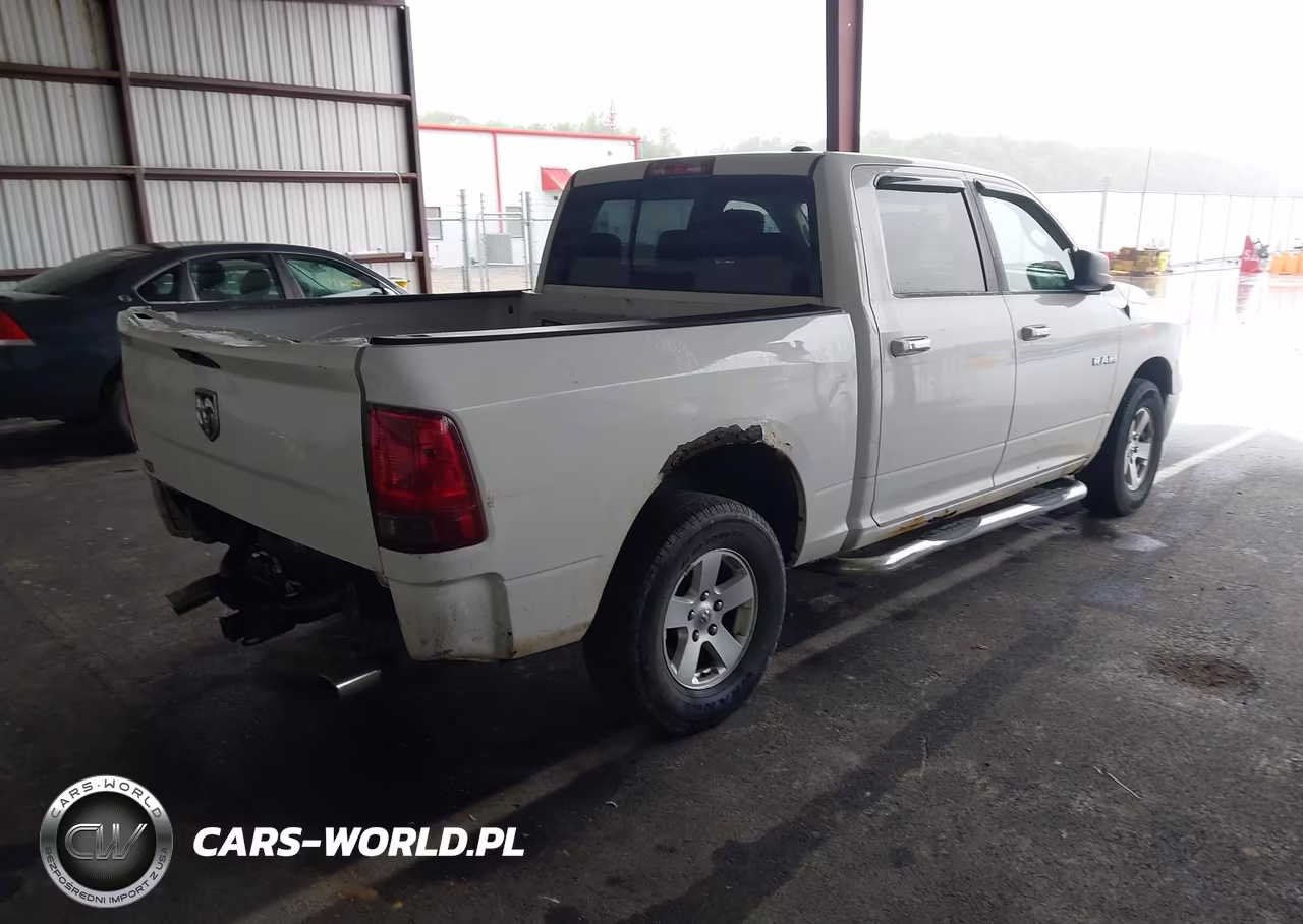 2010 Dodge Ram 1500 Slt-Sport-Trx VIN:1D7RV1CP8AS239072 - 4