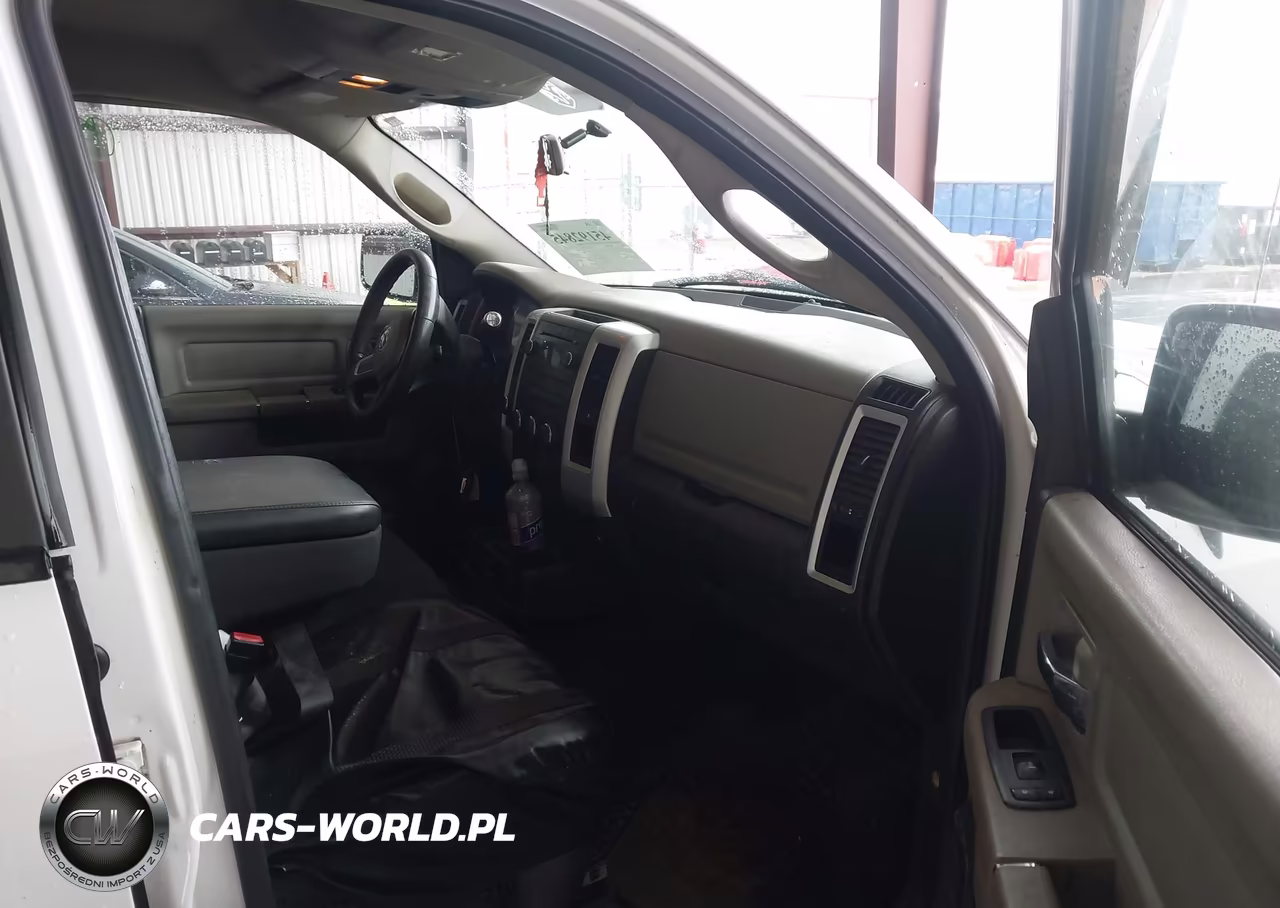 2010 Dodge Ram 1500 Slt-Sport-Trx VIN:1D7RV1CP8AS239072 - 5