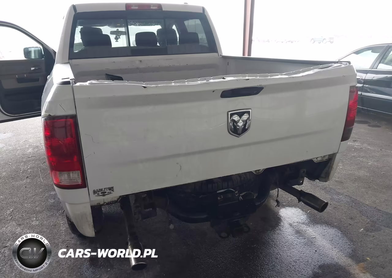 2010 Dodge Ram 1500 Slt-Sport-Trx VIN:1D7RV1CP8AS239072 - 6