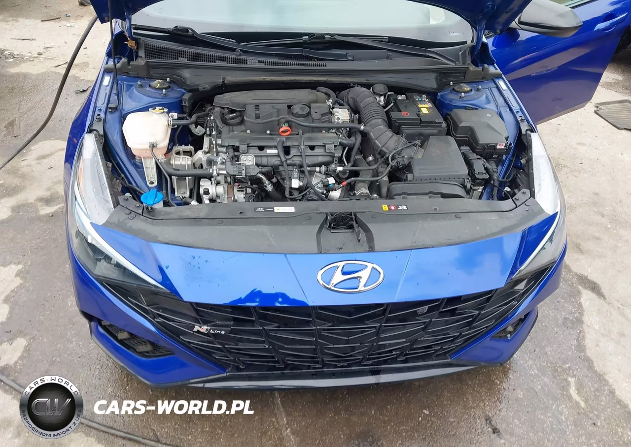 2023 Hyundai Elantra N Line VIN:KMHLR4AF1PU506500 - 10