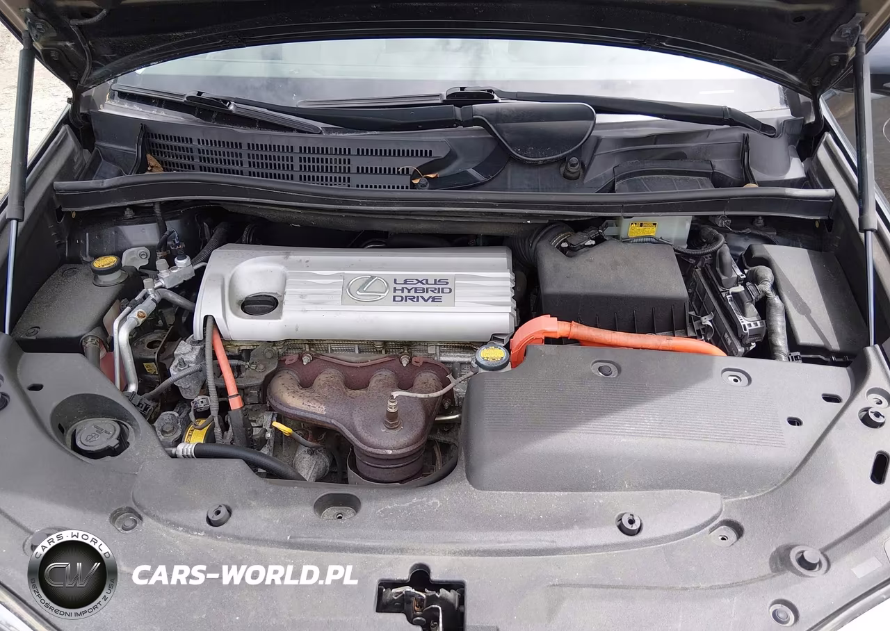 2010 Lexus Hs 250H Premium VIN:JTHBB1BA3A2025347 - 10