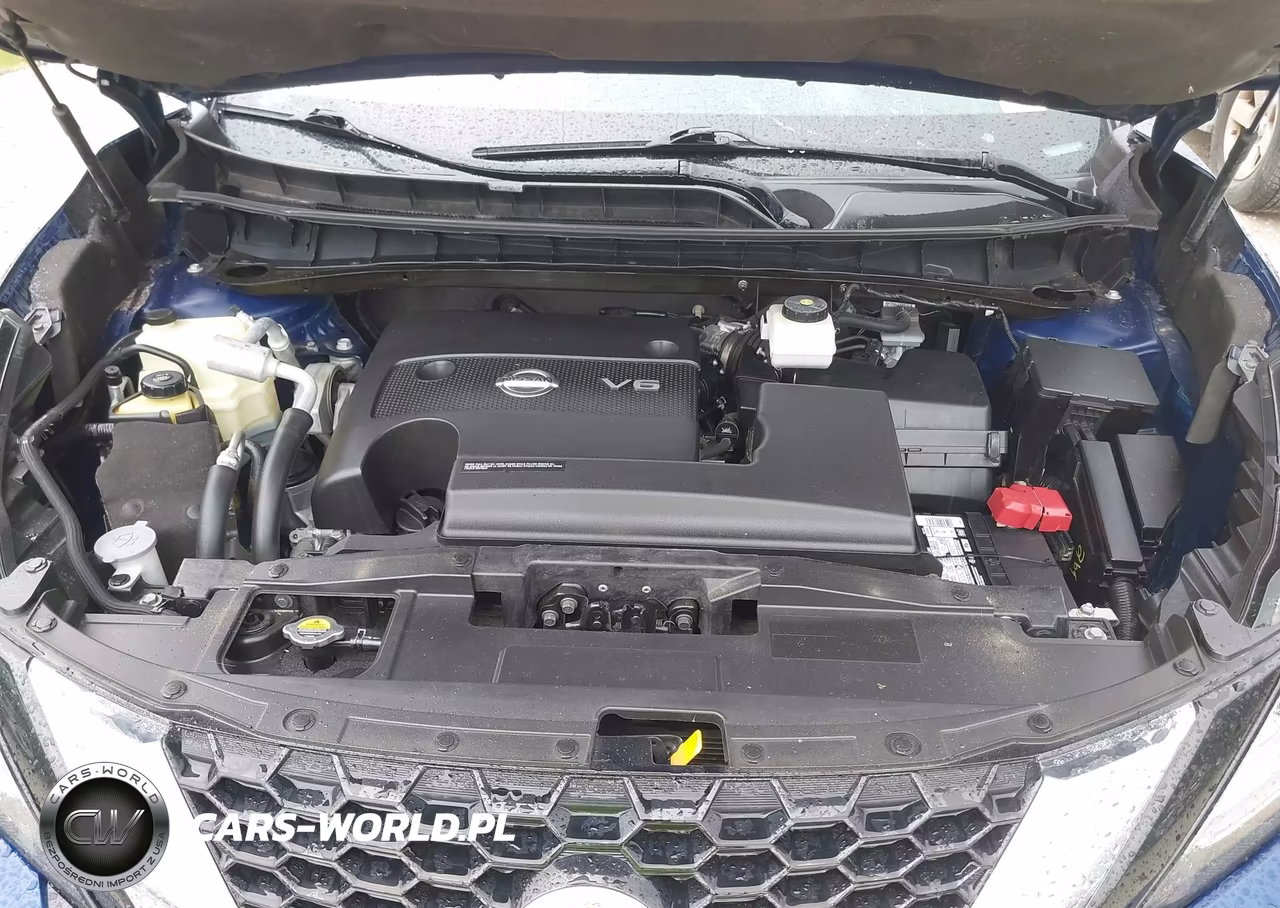 2019 Nissan Murano Platinum VIN:5N1AZ2MS2KN164854 - 10