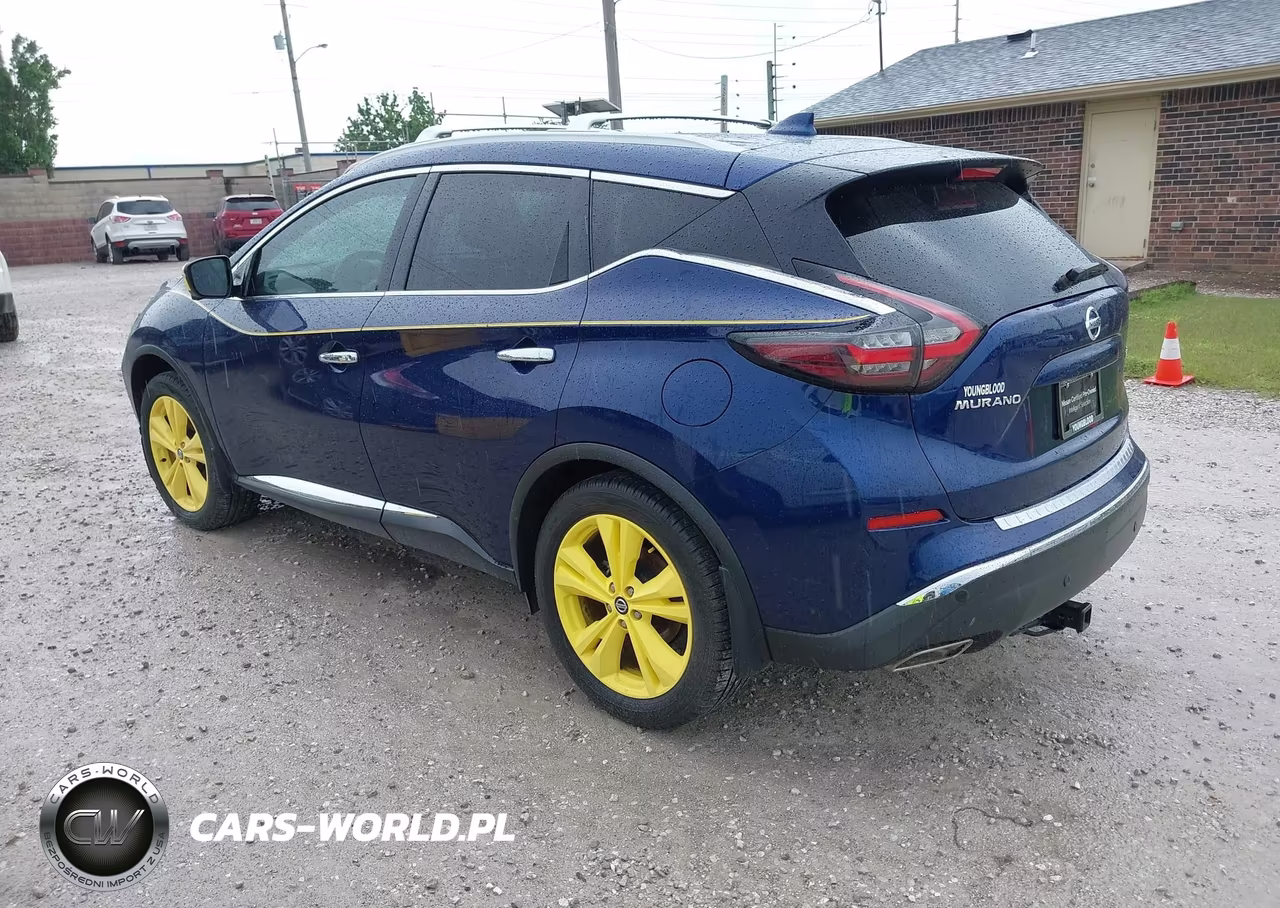 2019 Nissan Murano Platinum VIN:5N1AZ2MS2KN164854 - 3