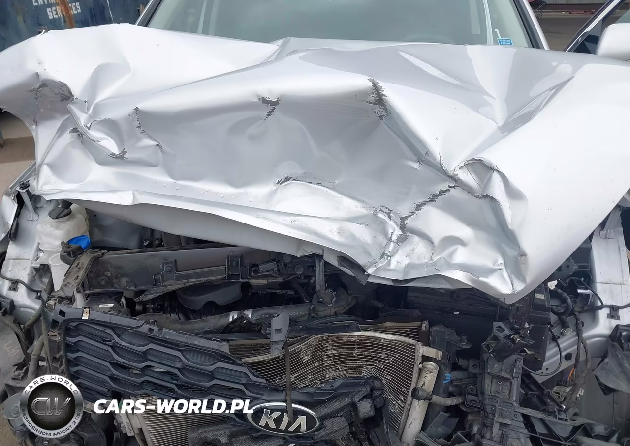 2020 Kia Sorento 2.4L L VIN:5XYPG4A32LG643765 - 10