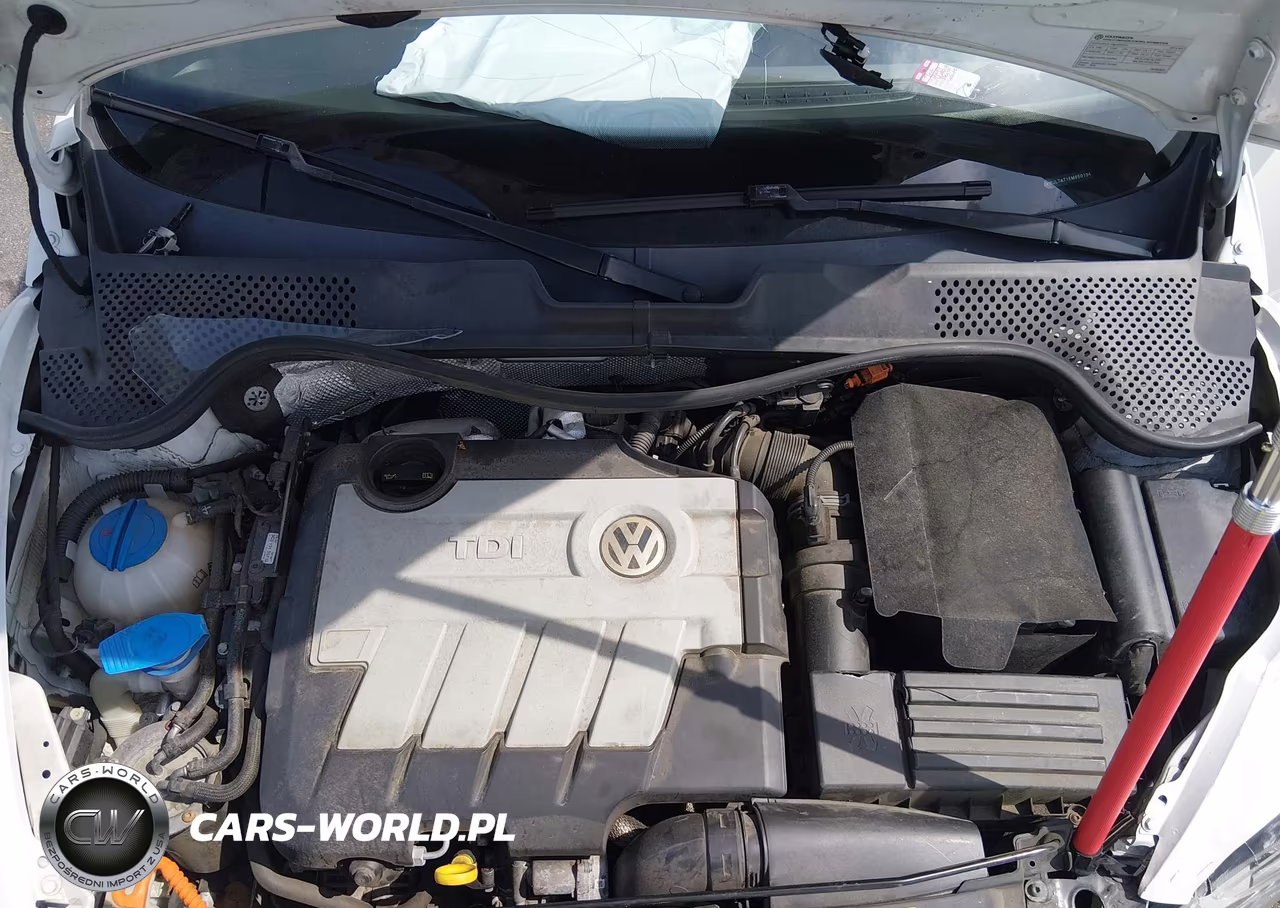 2014 Volkswagen Beetle 2.0L Tdi VIN:3VWJL7AT1EM650194 - 10