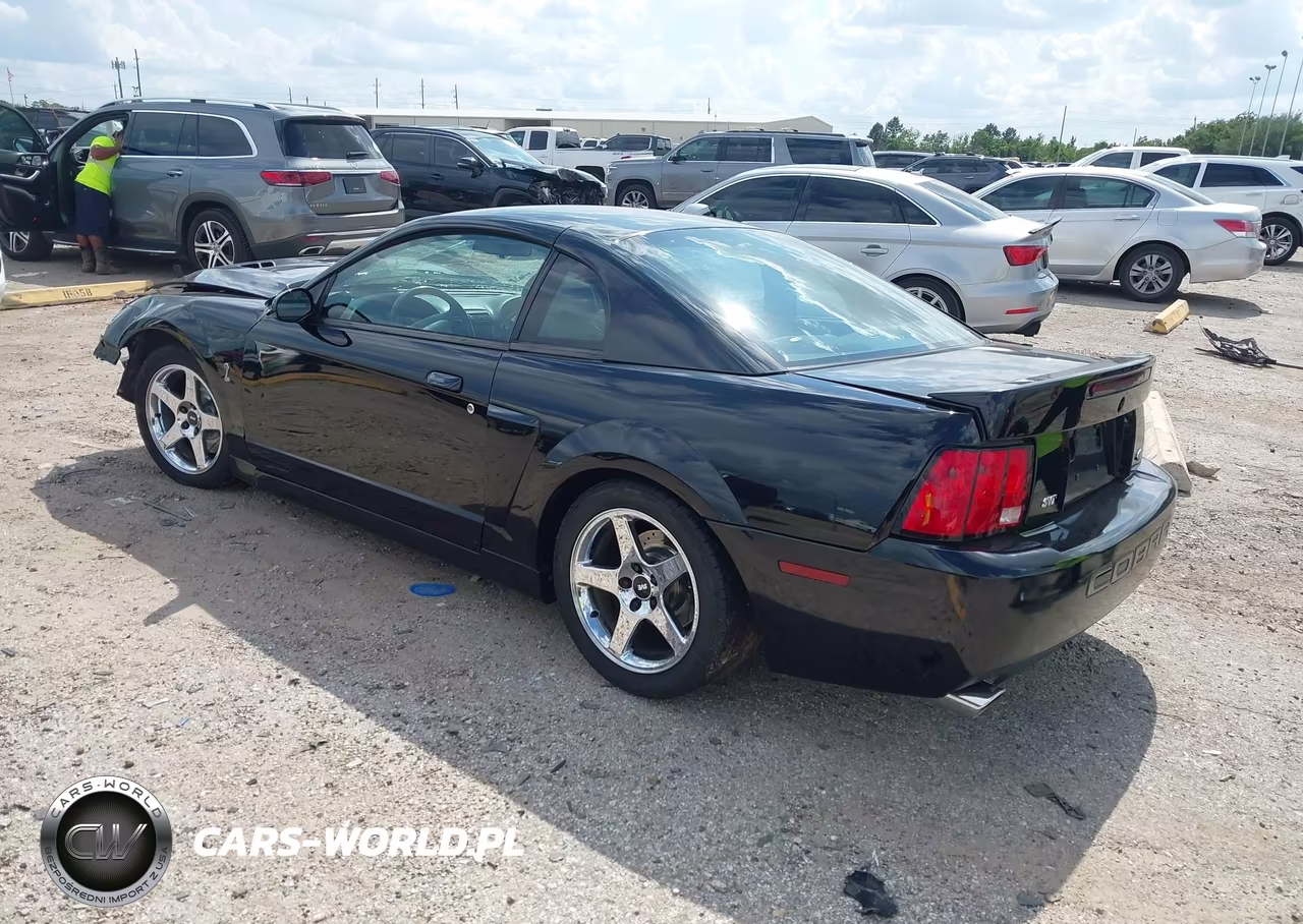 2004 Ford Mustang Cobra VIN:1FAFP48Y24F184986 - 3