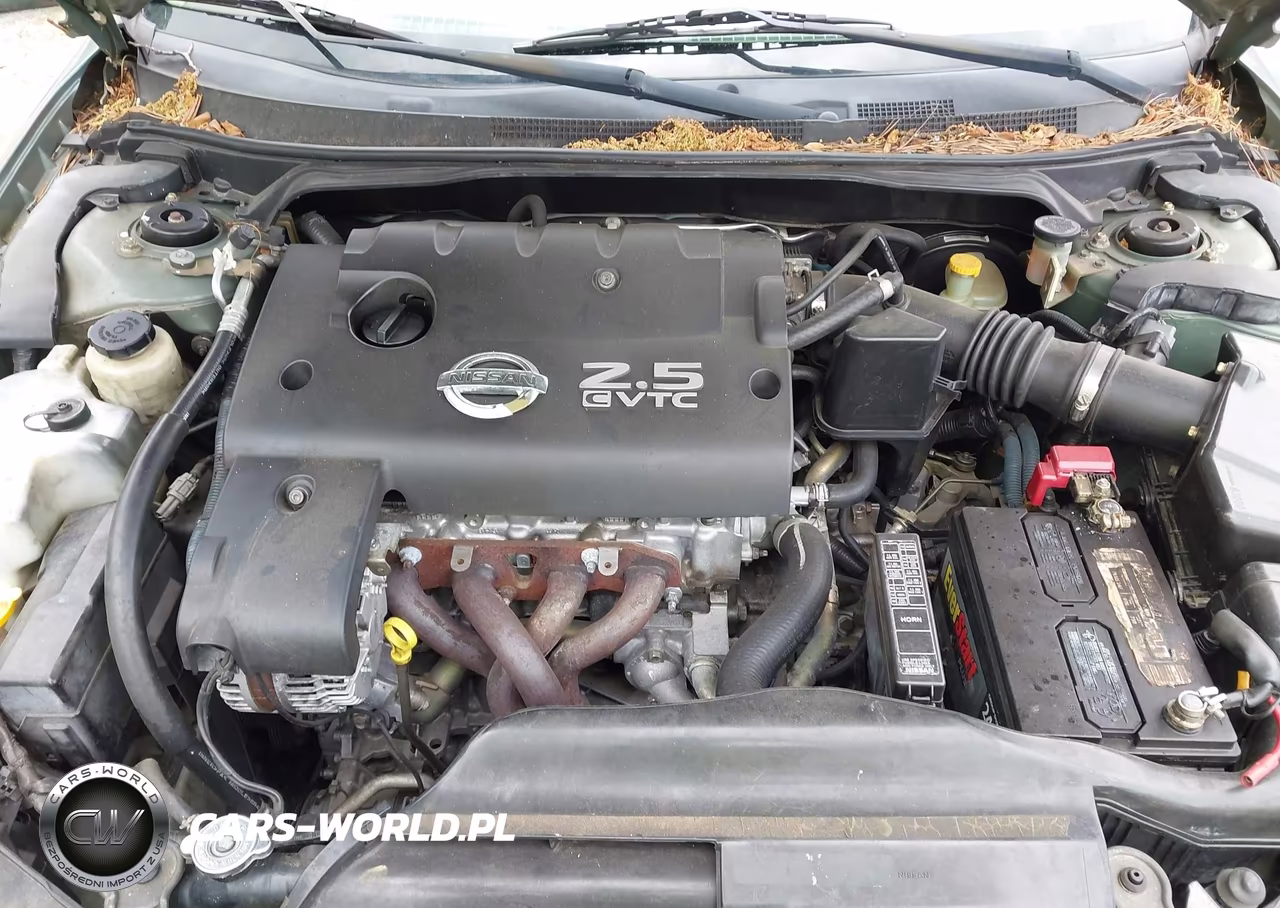 2002 Nissan Altima 2.5 Sl VIN:1N4AL11E32C105280 - 10
