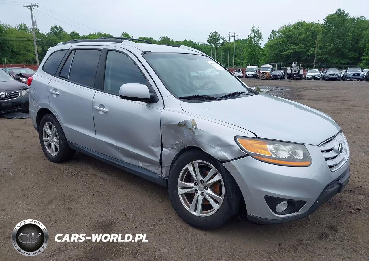 2010 Hyundai Santa Fe Se VIN:5NMSH4AG6AH345247 - 6