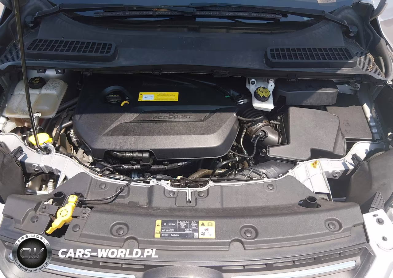 2016 Ford Escape Se VIN:1FMCU0GX3GUC50612 - 10