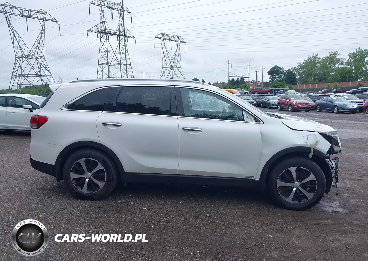 2017 Kia Sorento 2.0T Ex VIN:5XYPHDA14HG221533 - 12