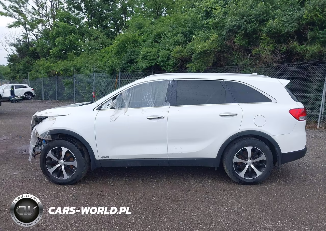 2017 Kia Sorento 2.0T Ex VIN:5XYPHDA14HG221533 - 13