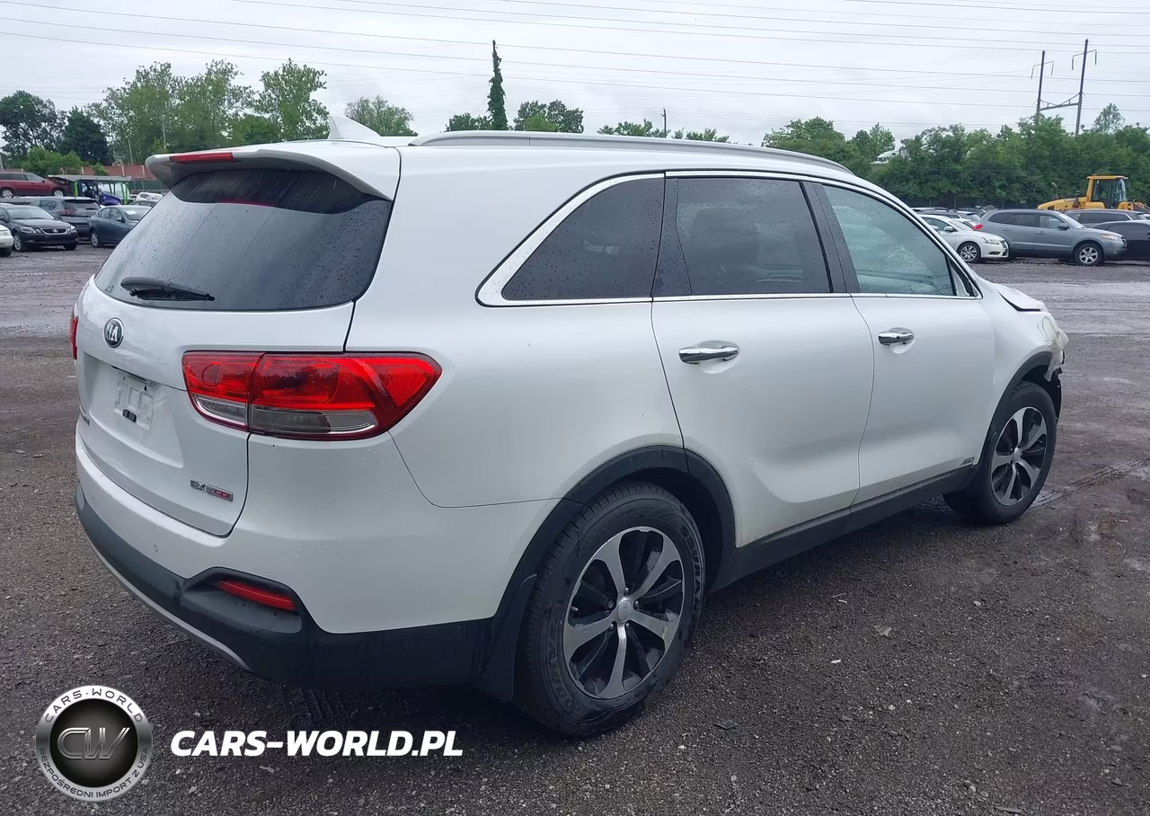 2017 Kia Sorento 2.0T Ex VIN:5XYPHDA14HG221533 - 4