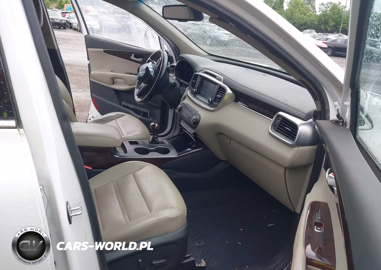 2017 Kia Sorento 2.0T Ex VIN:5XYPHDA14HG221533 - 5