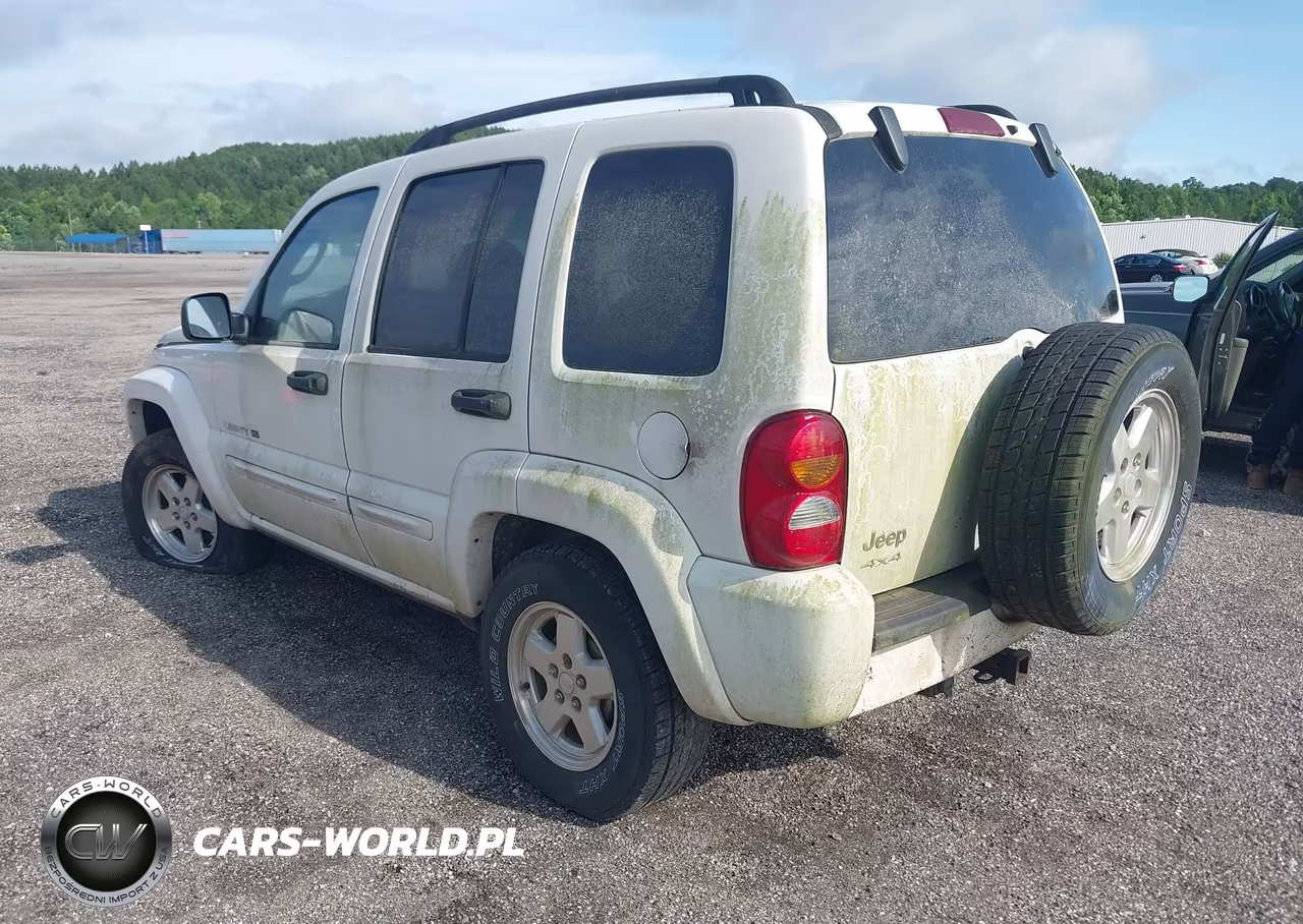 2002 Jeep Liberty Limited Edition VIN:1J4GL58K62W352261 - 3