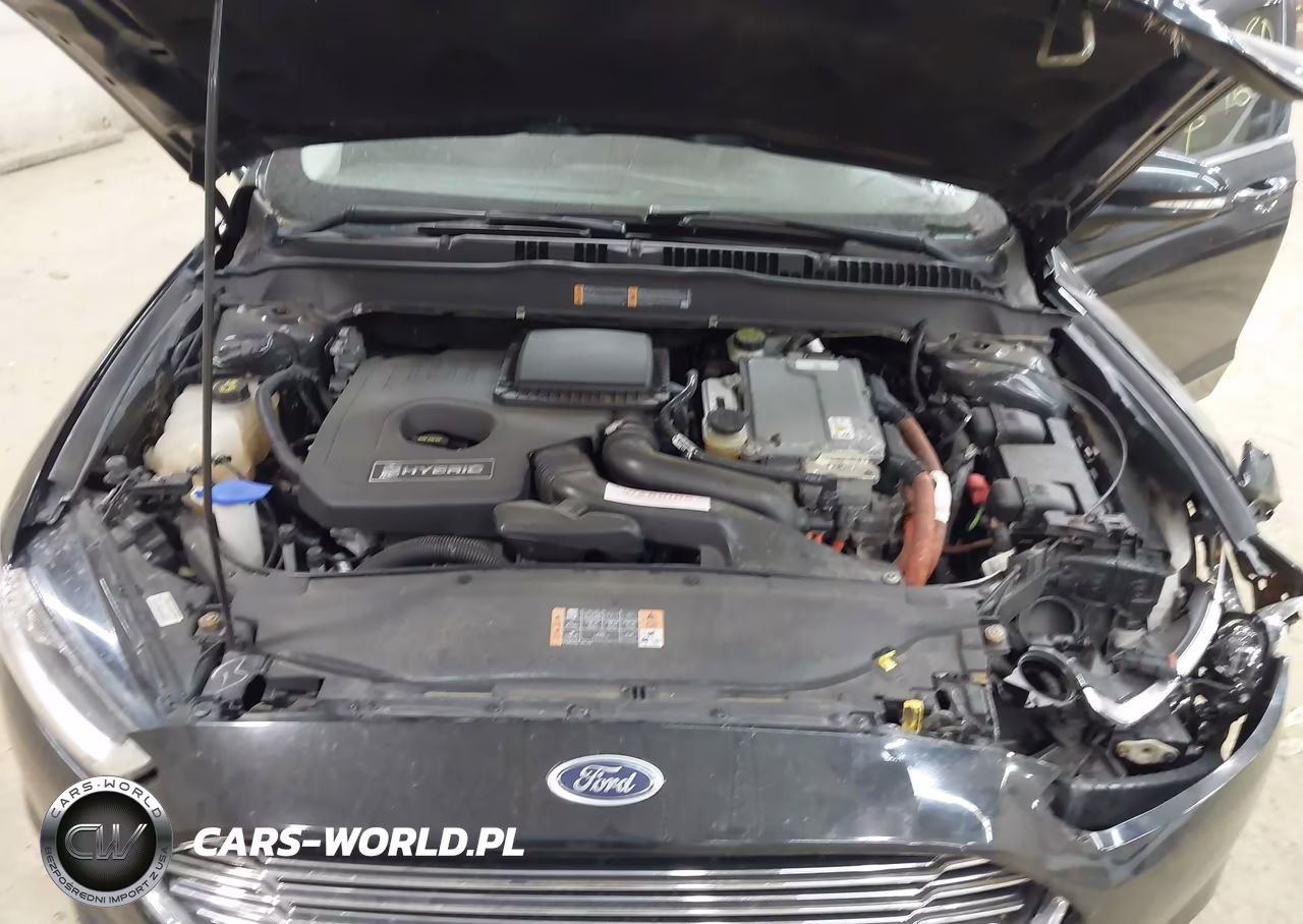 2014 Ford Fusion Hybrid Se VIN:3FA6P0LU1ER264314 - 10