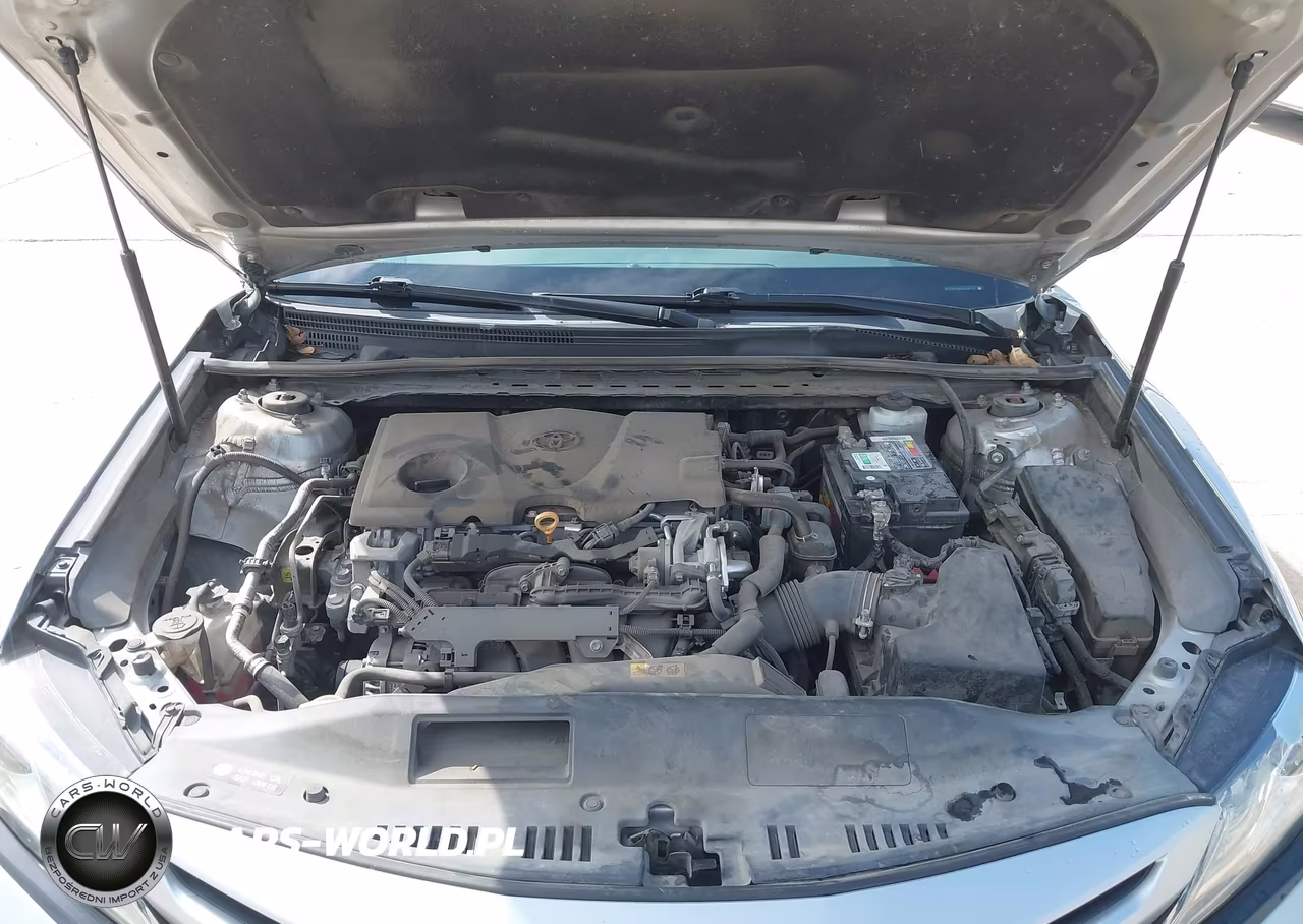 2019 Toyota Camry Xse VIN:4T1B61HK0KU282117 - 10