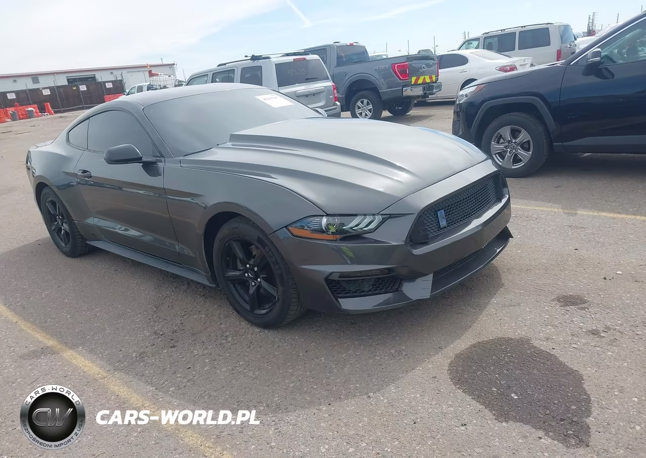 2019 Ford Mustang Ecoboost