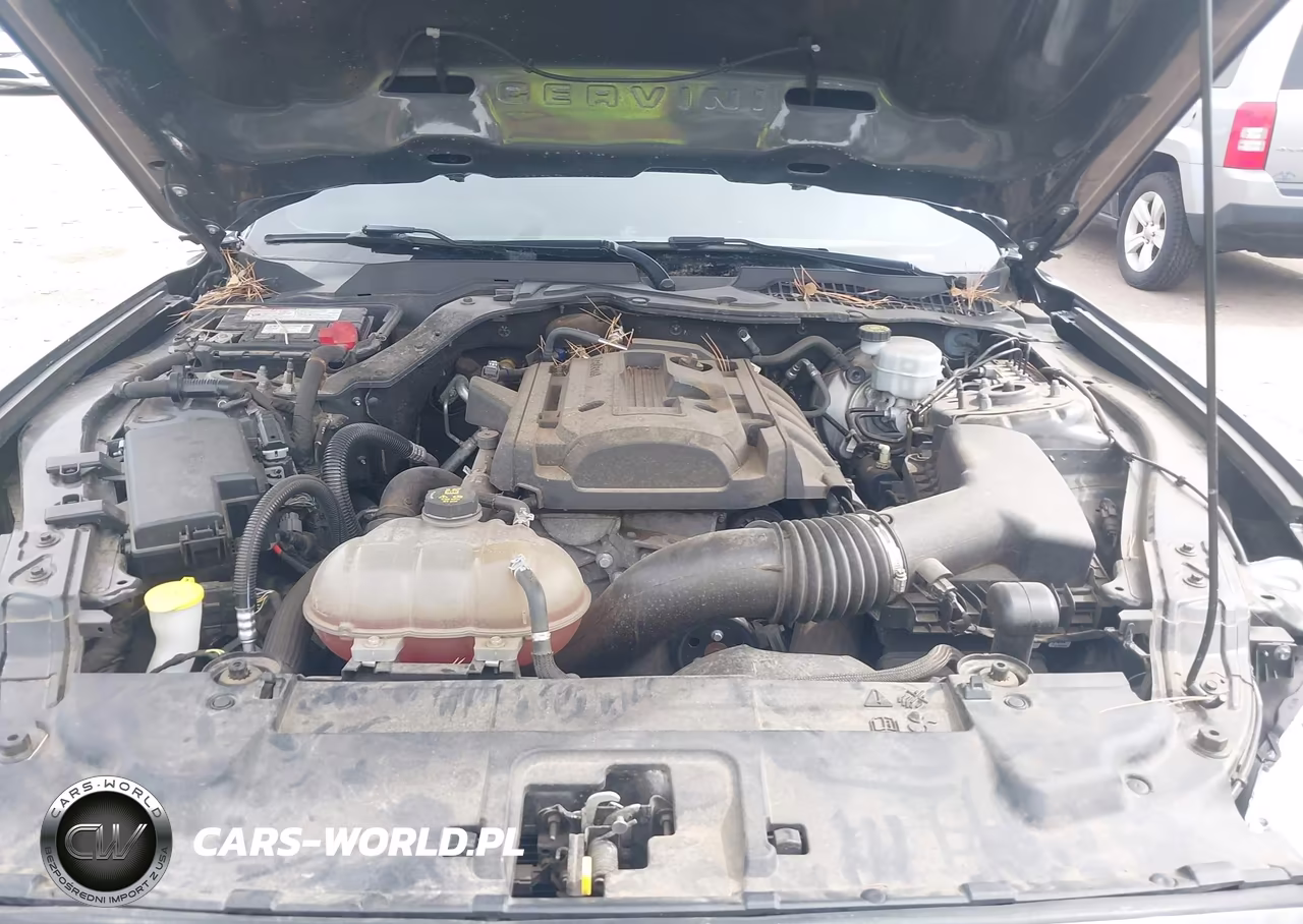 2019 Ford Mustang Ecoboost VIN:1FA6P8TH5K5117509 - 10