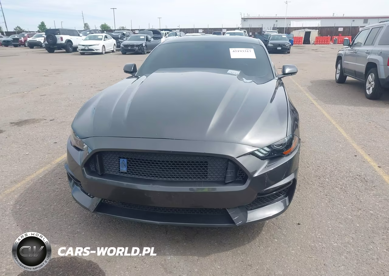 2019 Ford Mustang Ecoboost VIN:1FA6P8TH5K5117509 - 12