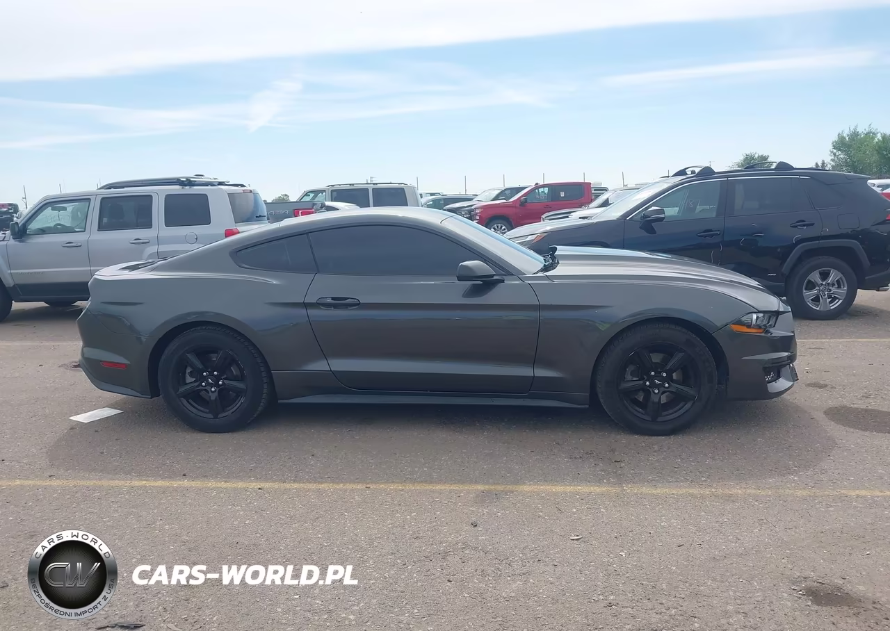 2019 Ford Mustang Ecoboost VIN:1FA6P8TH5K5117509 - 13