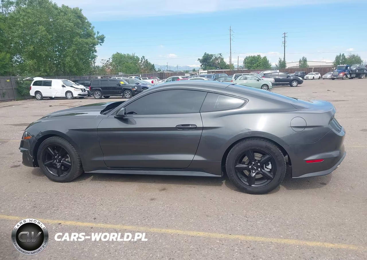 2019 Ford Mustang Ecoboost VIN:1FA6P8TH5K5117509 - 14