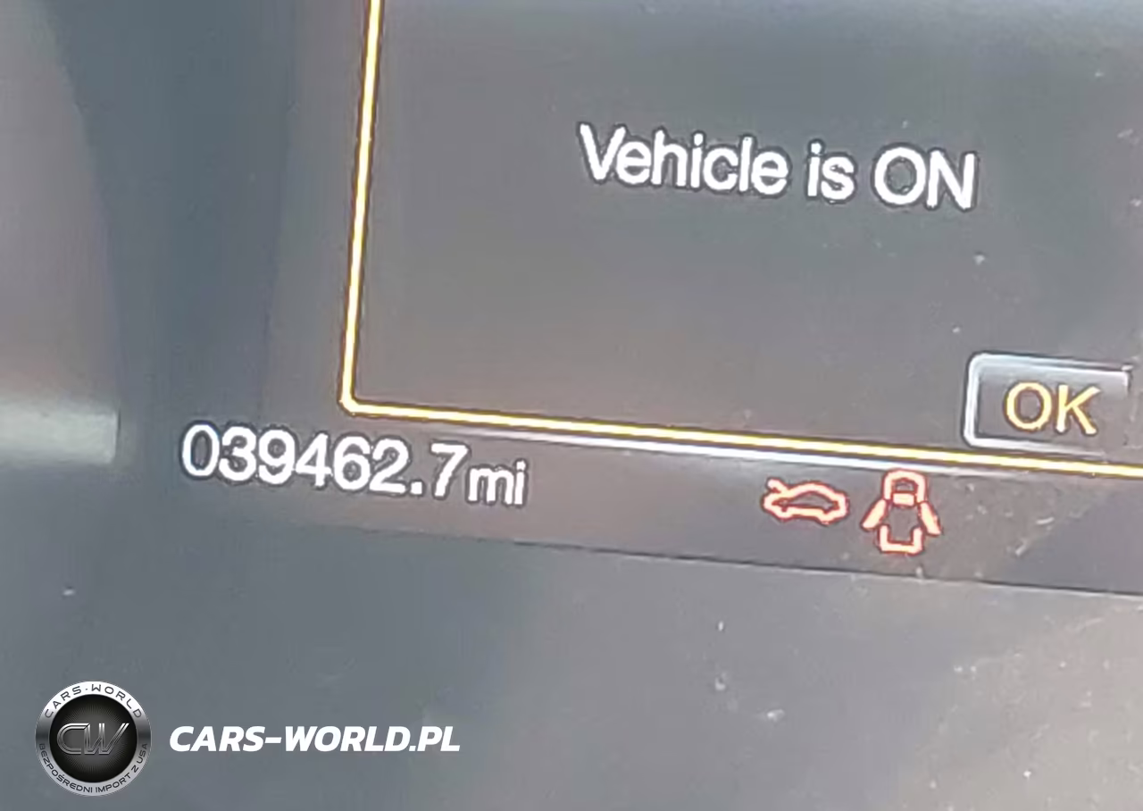 2019 Ford Mustang Ecoboost VIN:1FA6P8TH5K5117509 - 15