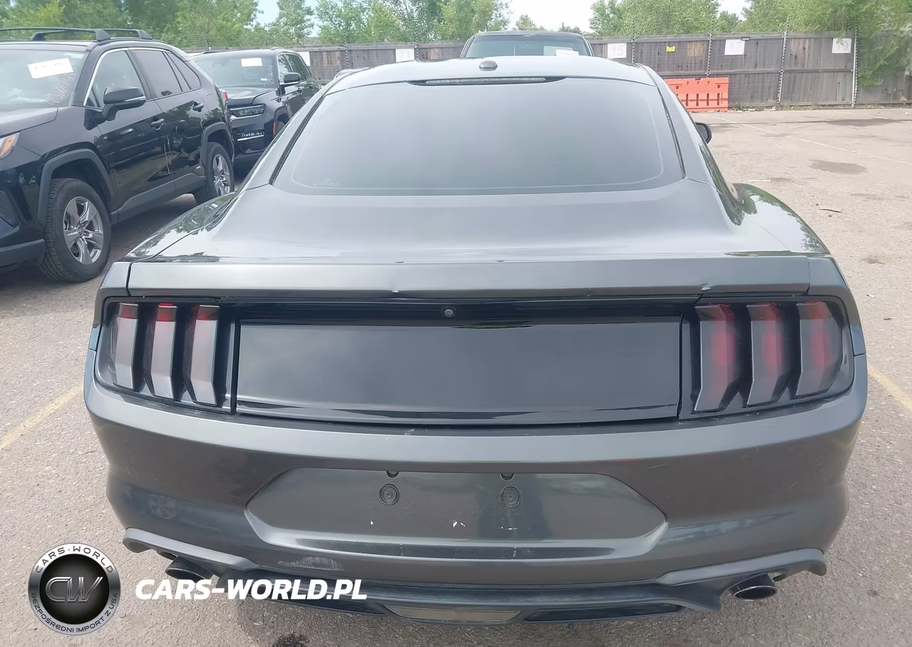 2019 Ford Mustang Ecoboost VIN:1FA6P8TH5K5117509 - 16