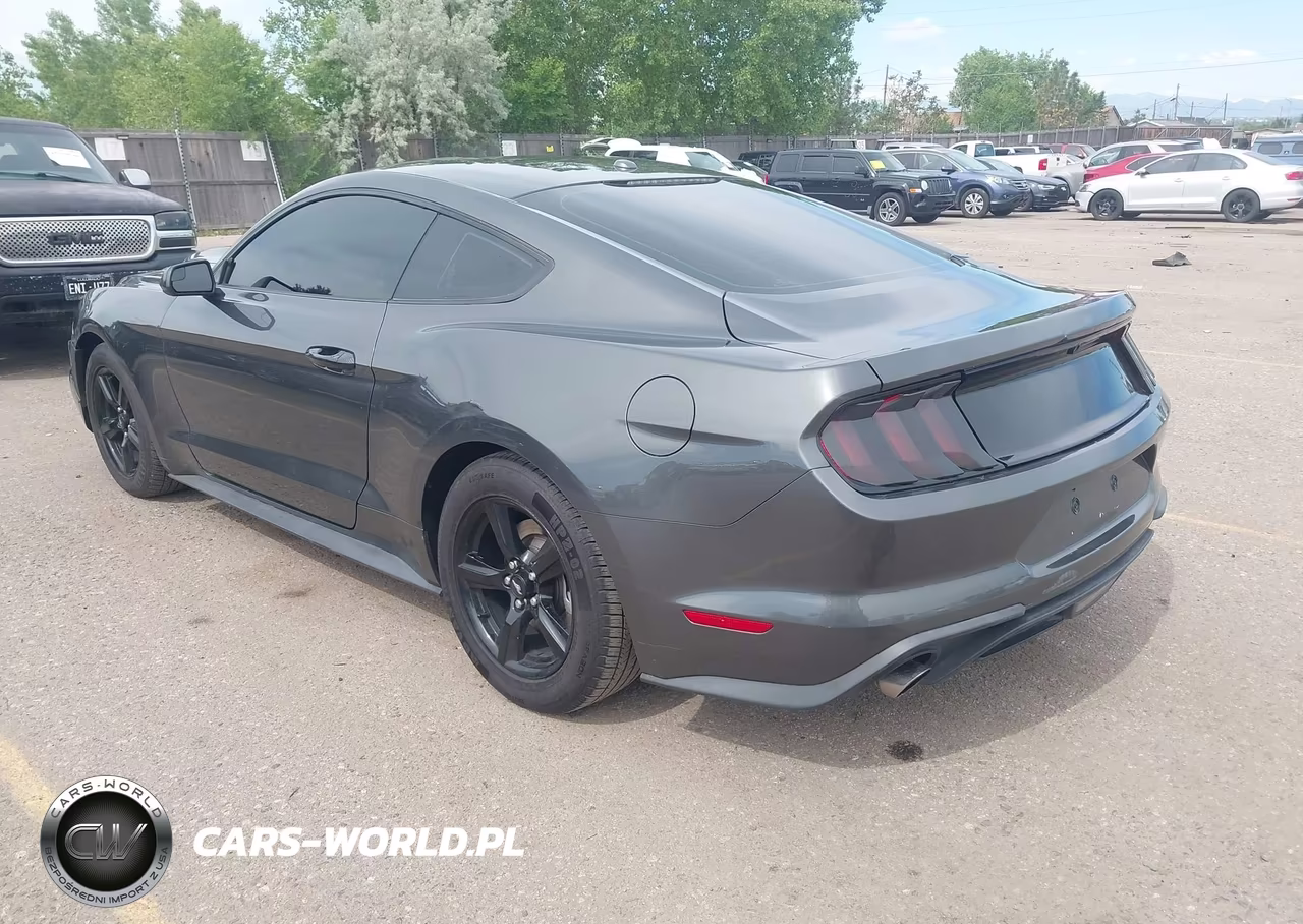 2019 Ford Mustang Ecoboost VIN:1FA6P8TH5K5117509 - 3