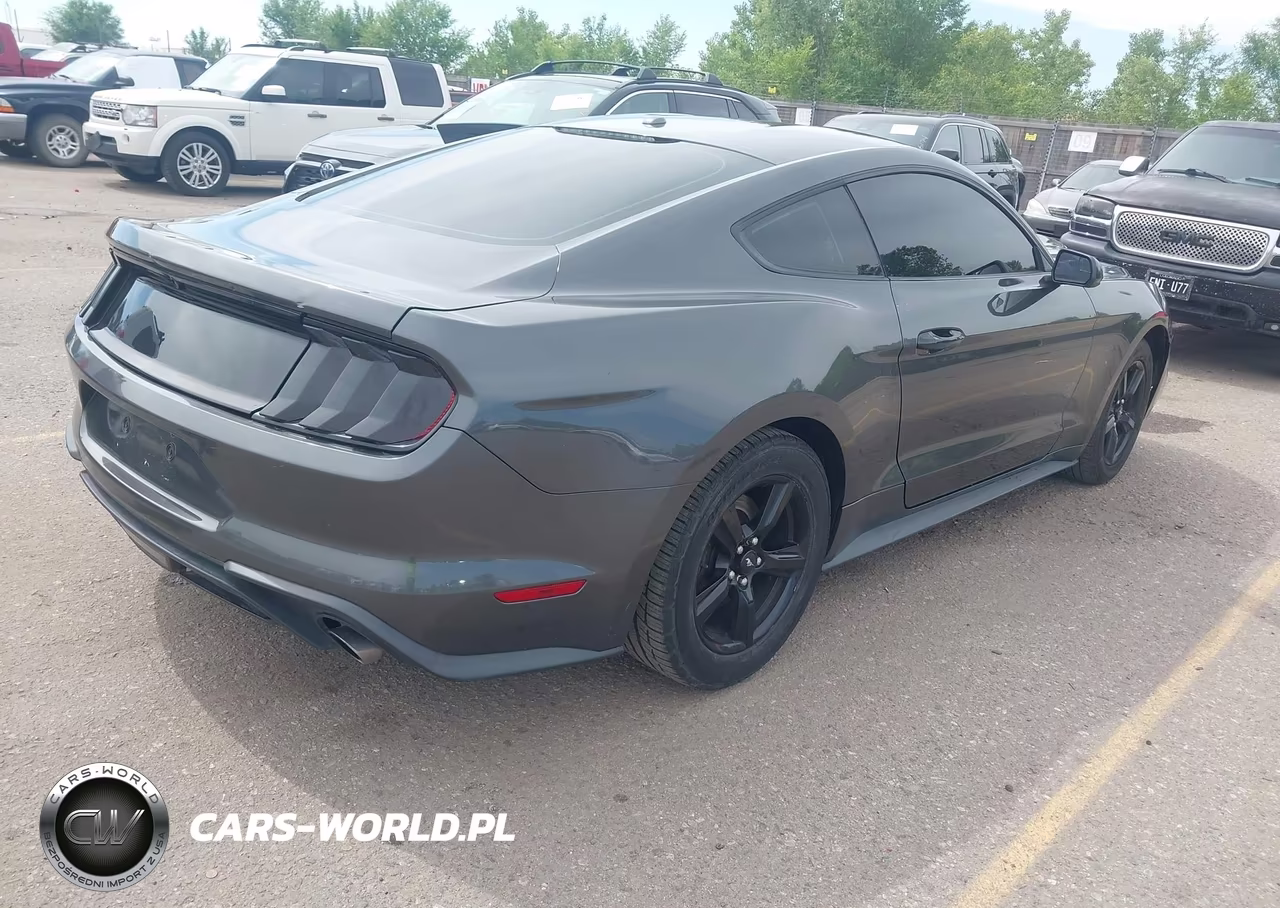 2019 Ford Mustang Ecoboost VIN:1FA6P8TH5K5117509 - 4