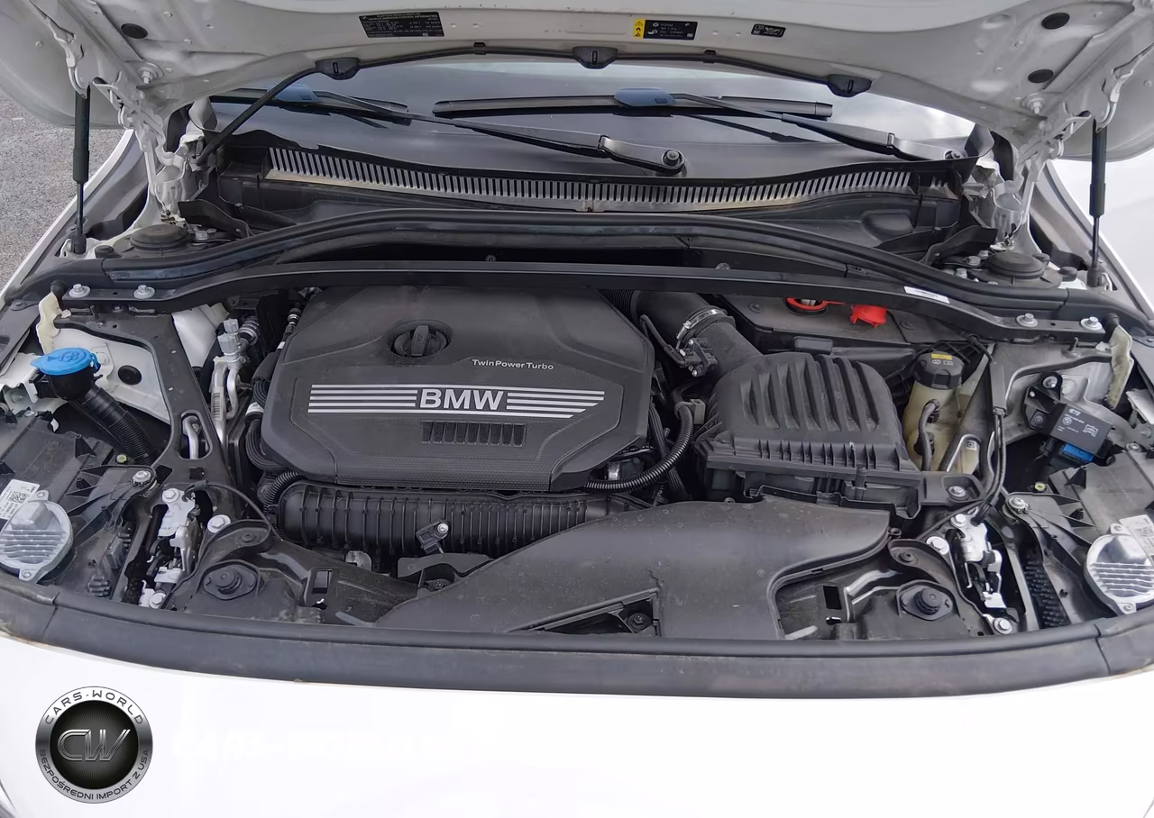 2021 BMW 228I Gran Coupe xDrive VIN:WBA73AK03M7G46218 - 10