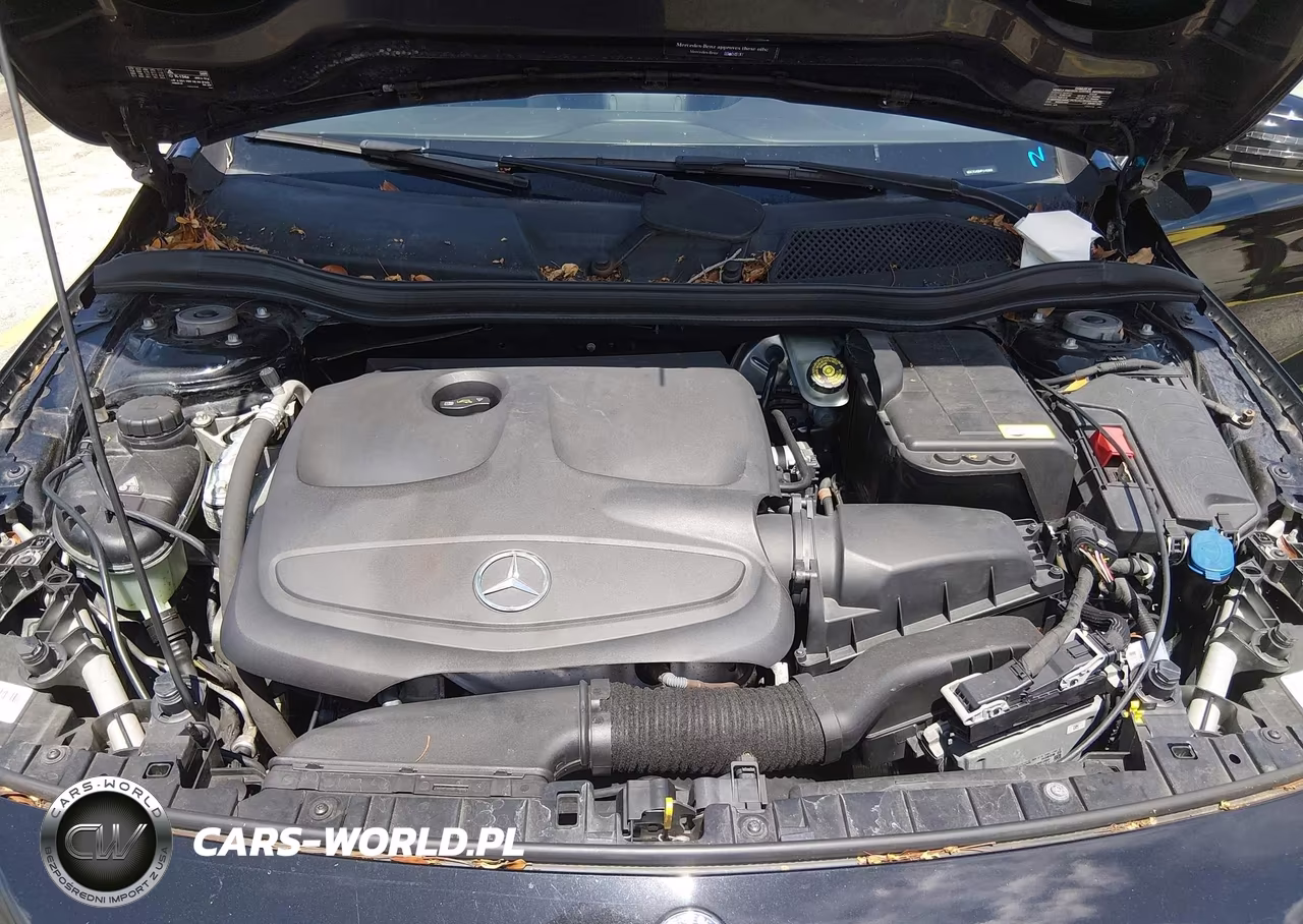 2015 Mercedes-Benz Gla 250 VIN:WDCTG4EB4FJ140303 - 10