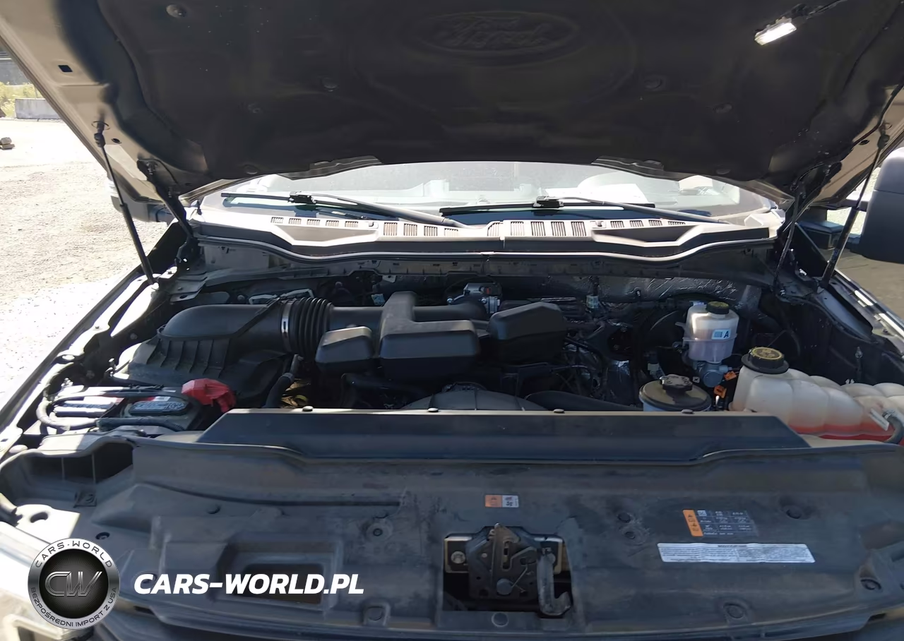 2017 Ford F-250 Xl VIN:1FDBF2A6XHEE07226 - 10