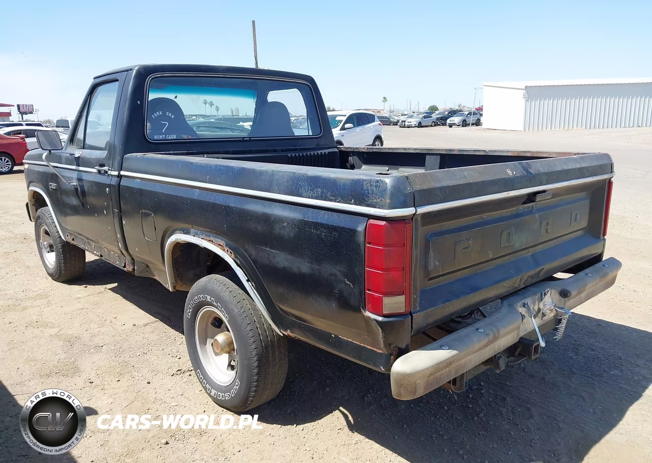 1983 Ford F150 VIN:2FTEF14F4DCA33848 - 3