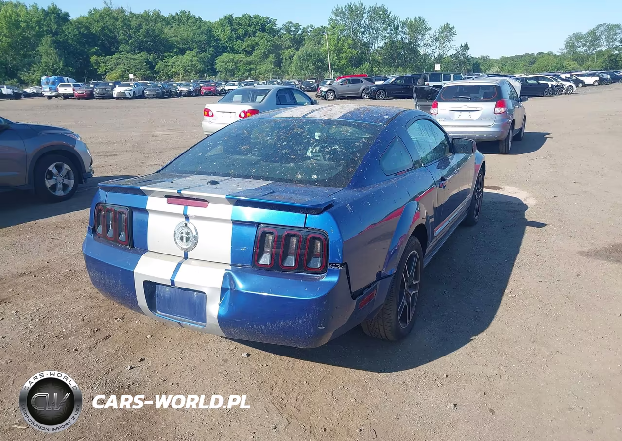 2007 Ford Mustang V6 Deluxe-V6 Premium VIN:1ZVFT80N075243572 - 13