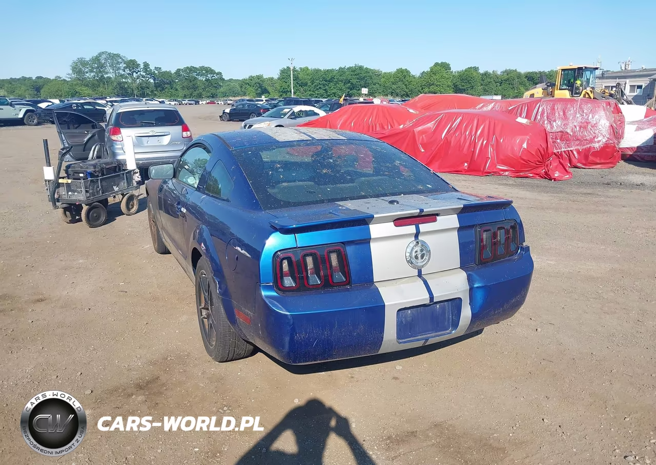 2007 Ford Mustang V6 Deluxe-V6 Premium VIN:1ZVFT80N075243572 - 6