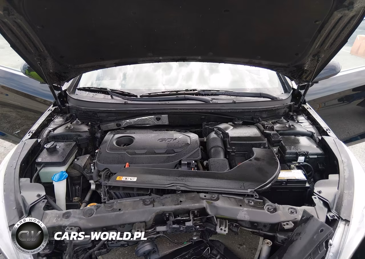 2017 Hyundai Sonata VIN:5NPE24AF0HH532096 - 10