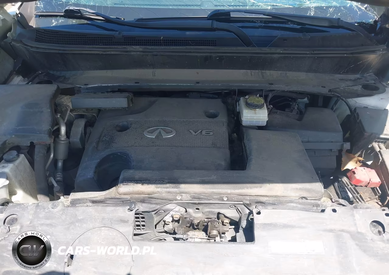 2016 Infiniti Qx60 VIN:5N1AL0MM0GC515223 - 10