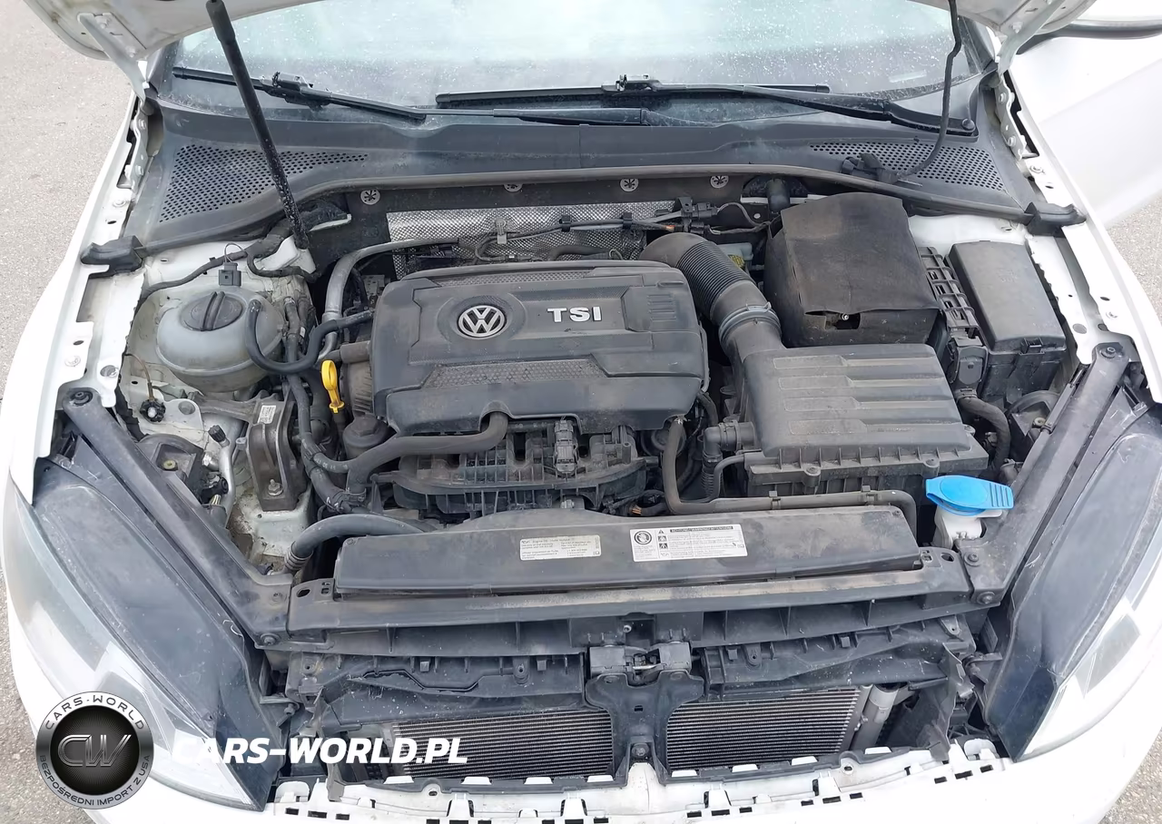 2017 Volkswagen Golf Sportwagen Tsi S-Tsi Se-Tsi Sel VIN:3VWC17AU7HM539287 - 10
