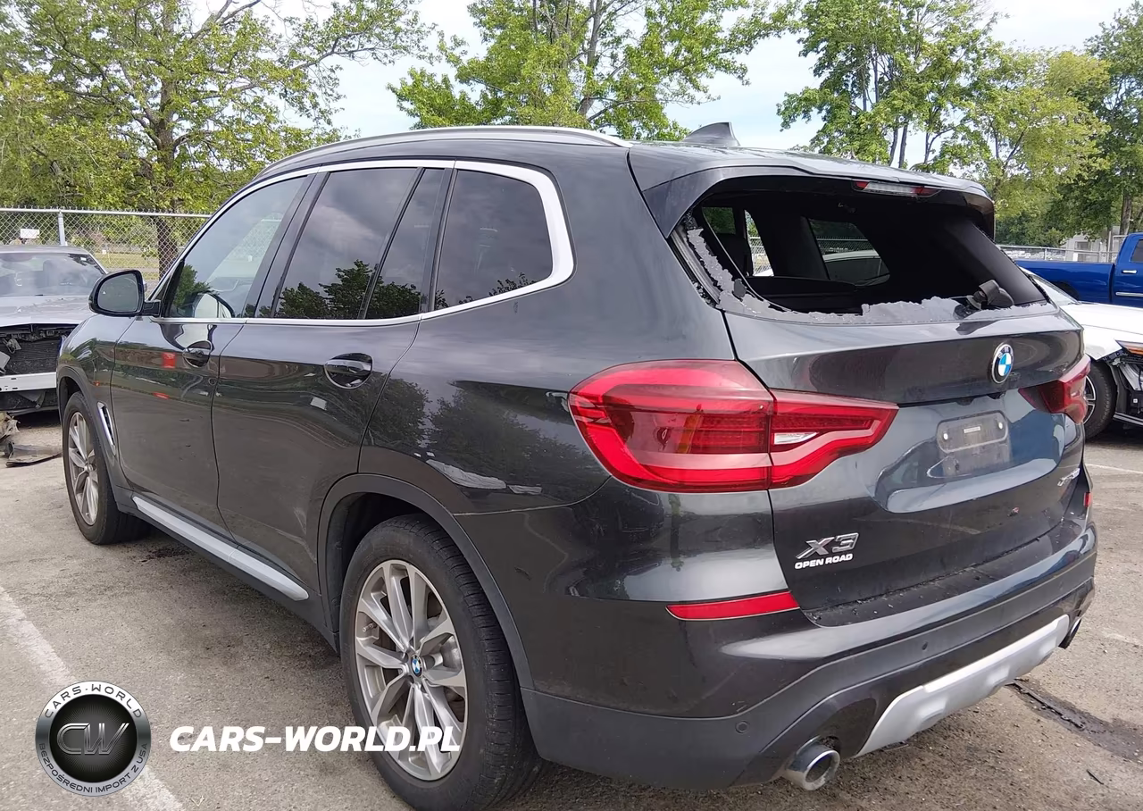 2019 BMW X3 xDrive30I VIN:5UXTR9C54KLE14223 - 3