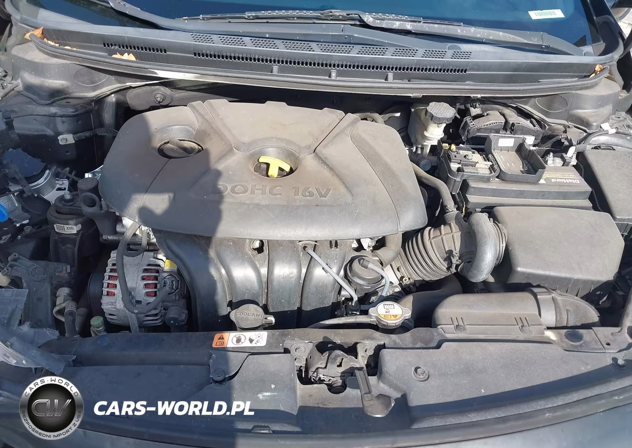 2016 Kia Forte Lx VIN:KNAFK4A61G5565219 - 10