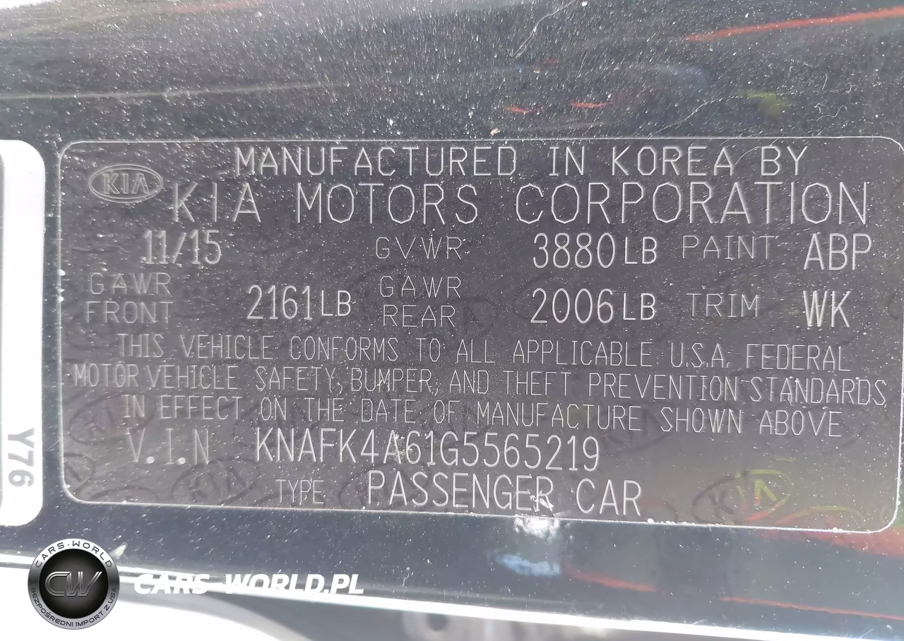 2016 Kia Forte Lx VIN:KNAFK4A61G5565219 - 9