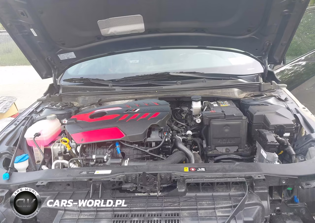 2025 Hyundai Elantra N VIN:KMHLW4DK7SU025239 - 10