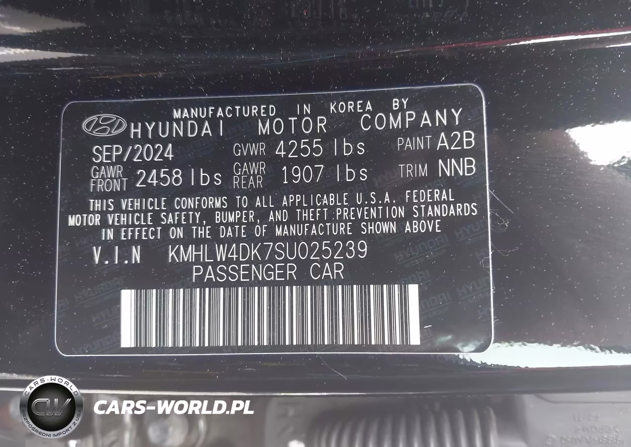 2025 Hyundai Elantra N VIN:KMHLW4DK7SU025239 - 9