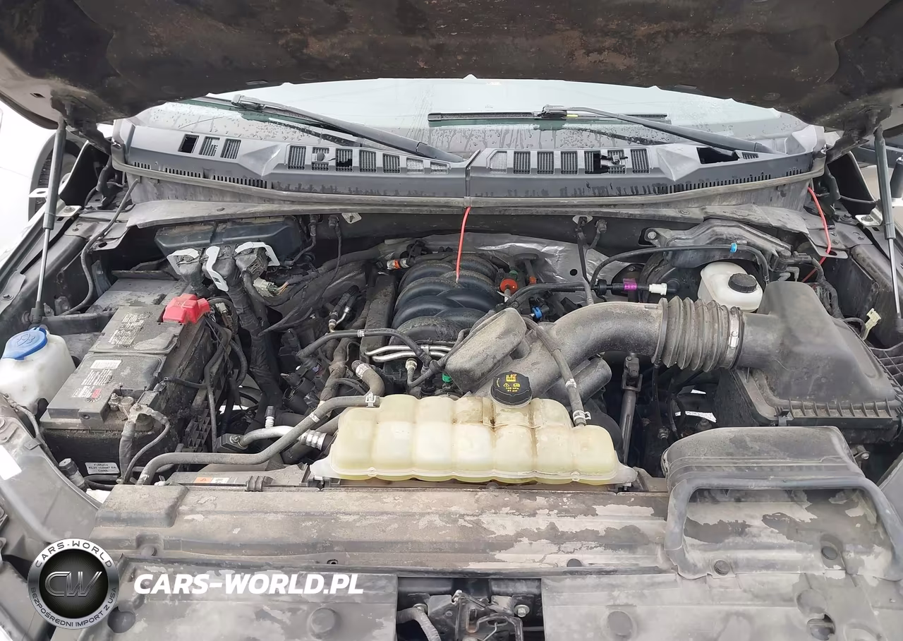 2019 Ford F-150 Xlt VIN:1FTEW1E54KFD14703 - 10