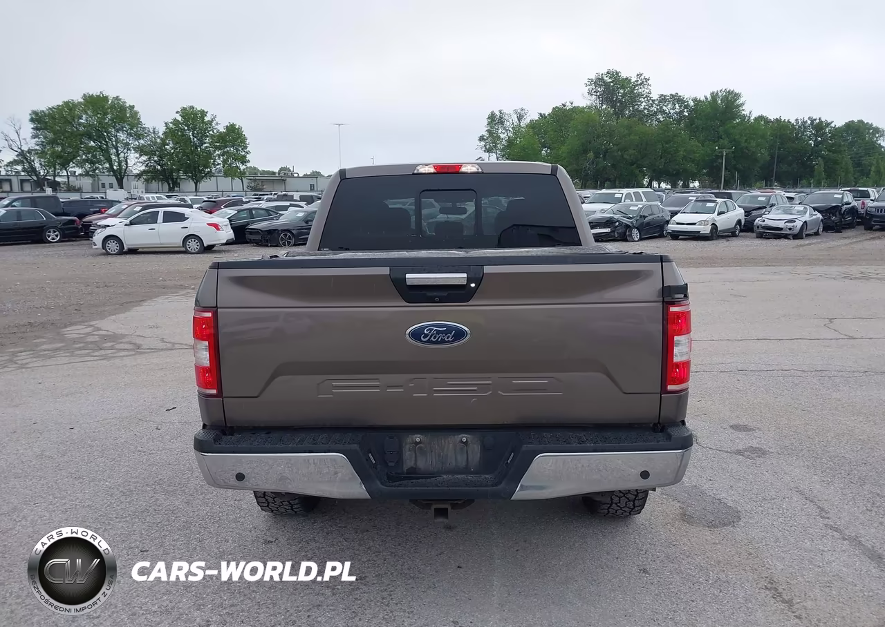 2019 Ford F-150 Xlt VIN:1FTEW1E54KFD14703 - 16