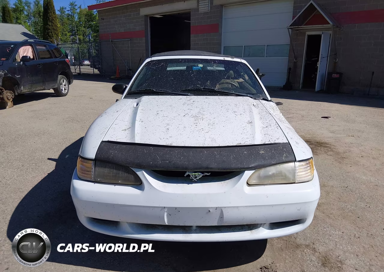 1998 Ford Mustang VIN:1FAFP4445WF231126 - 13